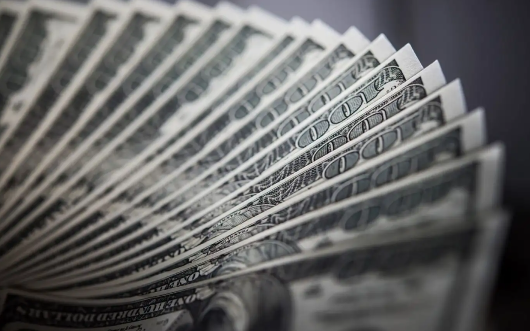 The US dollar is not the solution to Zimbabwe’s problems!